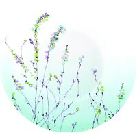 Набор тарелок Luminarc Simply Trompette Turquoise V2715 (44 пр) - Изображение №3 — Chaika Market