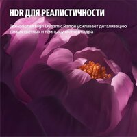 Телевизор Яндекс ТВ Станция Бейсик QLED с Алисой 50 - Изображение №12 — Chaika Market