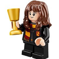 Конструктор LEGO Harry Potter 75964 Новогодний календарь Harry Potter - Изображение №10 — Chaika Market