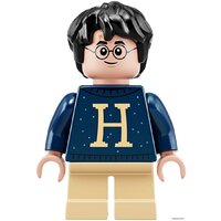 Конструктор LEGO Harry Potter 75964 Новогодний календарь Harry Potter - Изображение №19 — Chaika Market