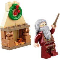 Конструктор LEGO Harry Potter 75964 Новогодний календарь Harry Potter - Изображение №17 — Chaika Market