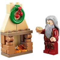 Конструктор LEGO Harry Potter 75964 Новогодний календарь Harry Potter - Изображение №8 — Chaika Market
