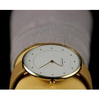 Наручные часы Skagen SKW2137 - Изображение №18 — Chaika Market