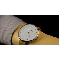 Наручные часы Skagen SKW2137 - Изображение №19 — Chaika Market