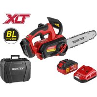 Аккумуляторная пила Wortex CEC 2518-3 ALL1 XLT Set 2325004 (с 1-им АКБ, кейс) — Chaika Market