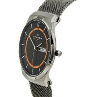 Наручные часы Skagen SKW6007 - Изображение №3 — Chaika Market