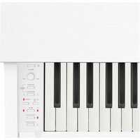 Цифровое пианино Casio Celviano AP-270 (белый) - Изображение №4 — Chaika Market