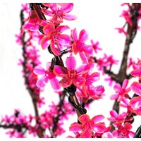Световое дерево Neon-Night Сакура 1.5 м 531-108 (розовый) - Изображение №6 — Chaika Market