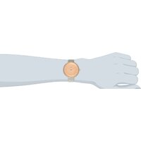 Наручные часы Skagen SKW2139 - Изображение №9 — Chaika Market