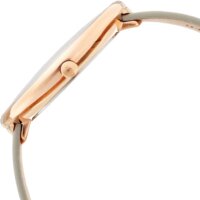 Наручные часы Skagen SKW2139 - Изображение №5 — Chaika Market