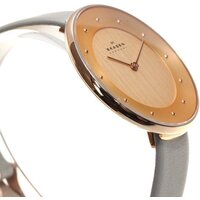 Наручные часы Skagen SKW2139 - Изображение №4 — Chaika Market