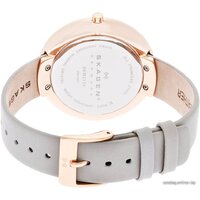 Наручные часы Skagen SKW2139 - Изображение №6 — Chaika Market