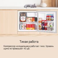 Однокамерный холодильник MAUNFELD MFF50RBG - Изображение №12 — Chaika Market