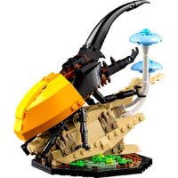 Конструктор LEGO Ideas 21342 Коллекция насекомых - Изображение №4 — Chaika Market