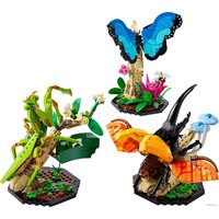 Конструктор LEGO Ideas 21342 Коллекция насекомых - Изображение №7 — Chaika Market