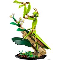 Конструктор LEGO Ideas 21342 Коллекция насекомых - Изображение №3 — Chaika Market