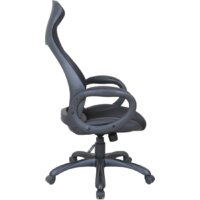 Офисное кресло Brabix Genesis EX-517 (черный) - Изображение №2 — Chaika Market