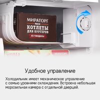 Однокамерный холодильник MAUNFELD MFF50RB - Изображение №14 — Chaika Market