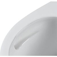 Унитаз подвесной Asten Readle Zentralmodul AR0601-205M - Изображение №11 — Chaika Market