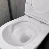 Унитаз подвесной Asten Readle Zentralmodul AR0601-205M - Изображение №18 — Chaika Market