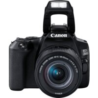 Зеркальный фотоаппарат Canon EOS 250D Kit 18-55 IS STM (черный) - Изображение №10 — Chaika Market