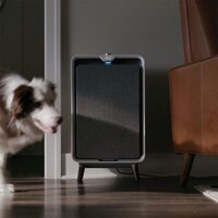 Очиститель воздуха Bissell AIR320 3002N - Изображение №2 — Chaika Market