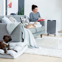 Очиститель воздуха Bissell AIR320 3002N - Изображение №3 — Chaika Market