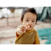 Конструктор LEGO Duplo 10949 Уход за животными на ферме - Изображение №23 — Chaika Market