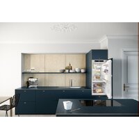 Однокамерный холодильник Liebherr IRBd 4150 Prime - Изображение №4 — Chaika Market