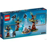 Конструктор LEGO Harry Potter 75945 Экспекто Патронум - Изображение №2 — Chaika Market