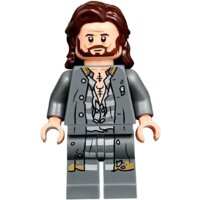 Конструктор LEGO Harry Potter 75945 Экспекто Патронум - Изображение №7 — Chaika Market