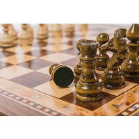 Шахматы Zeynalyan Турнирные-1 az108 (инкрустация 40) - Изображение №7 — Chaika Market