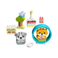 Конструктор LEGO Duplo 10977 Мой первый щенок и котёнок и их звуки - Изображение №2 — Chaika Market