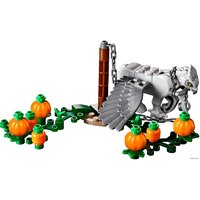 Конструктор LEGO Harry Potter 75947 Хижина Хагрида: спасение Клювокрыла - Изображение №4 — Chaika Market