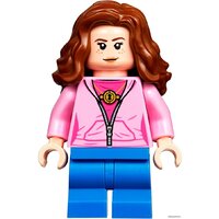 Конструктор LEGO Harry Potter 75947 Хижина Хагрида: спасение Клювокрыла - Изображение №10 — Chaika Market