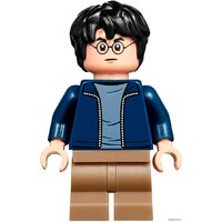 Конструктор LEGO Harry Potter 75947 Хижина Хагрида: спасение Клювокрыла - Изображение №14 — Chaika Market