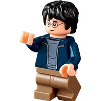 Конструктор LEGO Harry Potter 75947 Хижина Хагрида: спасение Клювокрыла - Изображение №9 — Chaika Market
