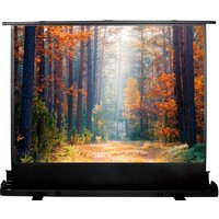 Проекционный экран CACTUS FloorExpert 150x200 CS-PSFLE-200X150 — Chaika Market