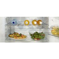 Однокамерный холодильник Gorenje R619EAW6 - Изображение №21 — Chaika Market