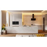 Электрический духовой шкаф TEKA Van Gogh HLB 84 P VG - Изображение №9 — Chaika Market