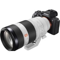 Объектив Sony FE 100-400mm F4.5-5.6 GM OSS [SEL100400GM] - Изображение №9 — Chaika Market