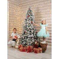 Елка National Tree Company Ариадна заснеженная АРД/ЗСН-240 (240см) - Изображение №12 — Chaika Market