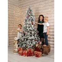 Елка National Tree Company Ариадна заснеженная АРД/ЗСН-240 (240см) - Изображение №16 — Chaika Market