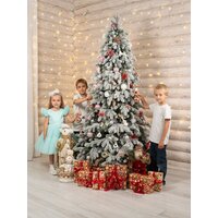 Елка National Tree Company Ариадна заснеженная АРД/ЗСН-240 (240см) - Изображение №11 — Chaika Market