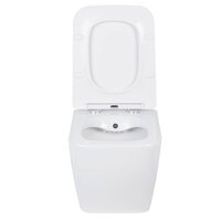 Унитаз подвесной Roxen Cube Bidet 530135-01X Rimless Soft Close с функцией биде - Изображение №9 — Chaika Market