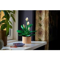 Конструктор LEGO The Botanical Collection 11504 Мирная лилия - Изображение №5 — Chaika Market