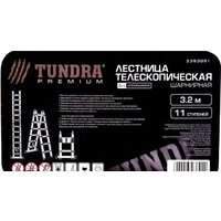 Лестница Tundra Premium 2393891 - Изображение №8 — Chaika Market