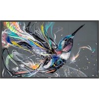 Информационная панель Philips 55BDL3511Q/00 — Chaika Market