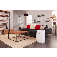 Очиститель воздуха Sharp FP-J40EU-W - Изображение №4 — Chaika Market