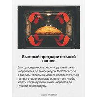 Электрический духовой шкаф Hansa BOEI684621 - Изображение №15 — Chaika Market